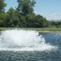 A Kasco surface aerator running on a pond